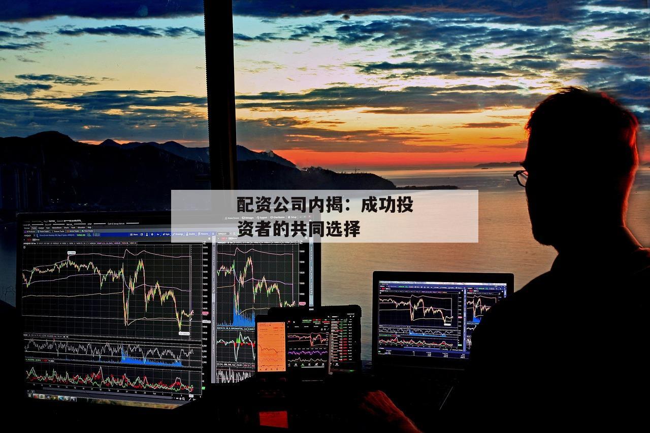 配资公司内揭：成功投资者的共同选择