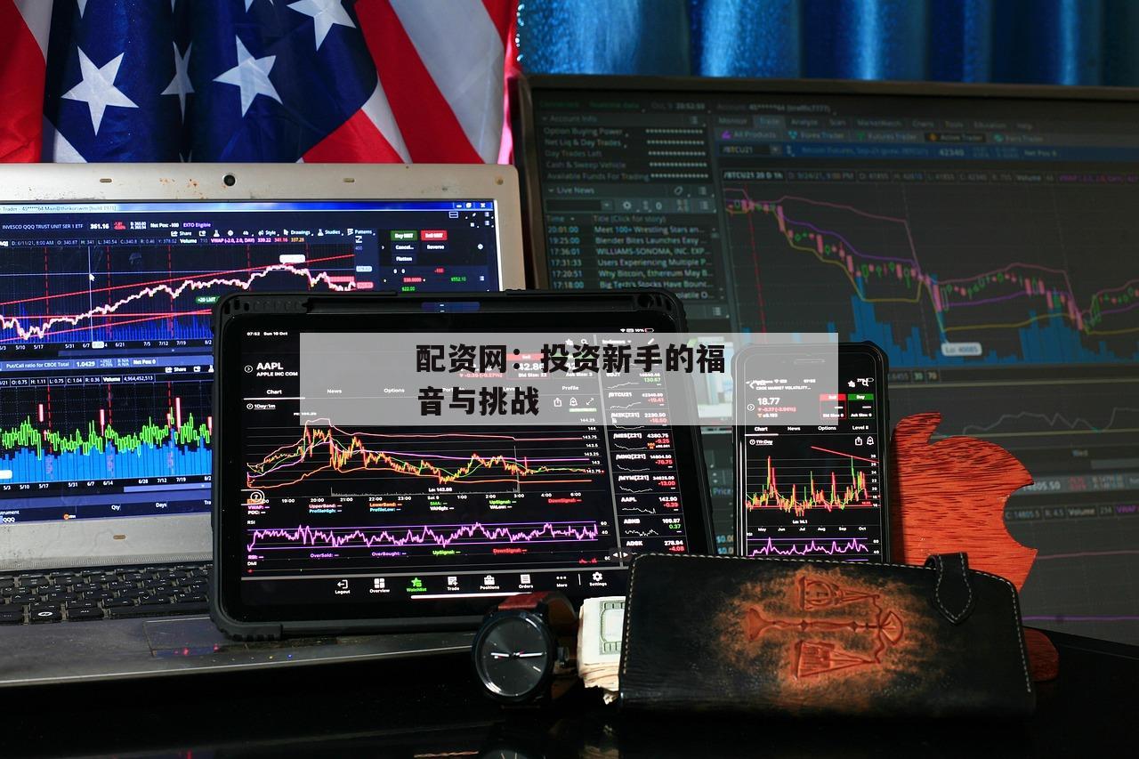 配资网：投资新手的福音与挑战